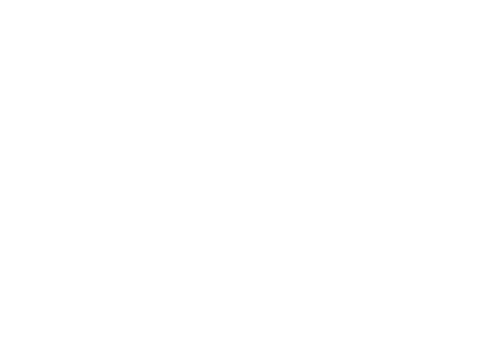 Borgmann 1772